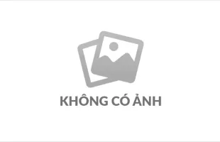 Phân bón sinh học là gì? Lợi ích đối với đất và cây trồng